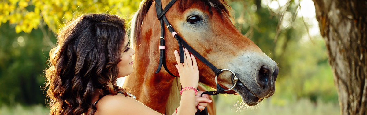 Pferdefütterung - auf das richtige Maß kommt es an: Baustoffe Becker